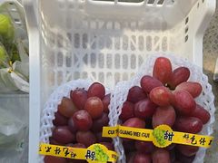 -马陆小张葡萄园农家乐