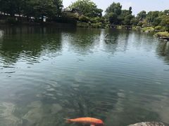 -水前寺成趣园