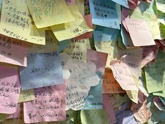 -大王油茶(二厂文创公园店)
