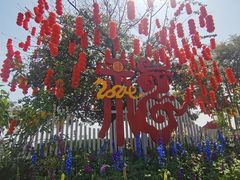 -深圳湾公园(南山区)