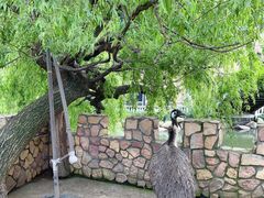 -J Create城市露营咖啡·简餐·宠物(上海动物园店)