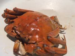 -红满堂·龙虾·牛蛙·淮扬菜(濠北路店)