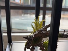 -怡得饭庄·30年老店·宋大妈昆明菜