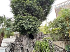 -荔湾湖公园