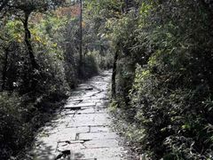 -杭州半山国家森林公园