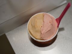 -Dal Cuore 达可芮冰淇淋(陕西北路店)