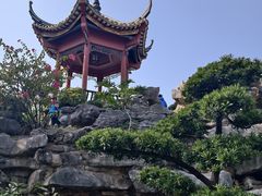 -顺峰山公园