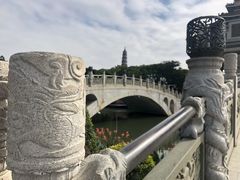 -顺峰山公园