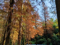 -广州市白云山风景名胜区