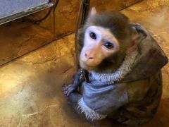 -盤古Spa泰式古法抓龙筋(鲁迅路店)