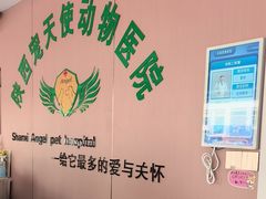 -天使宠物医院·犬猫分诊(彩虹店)