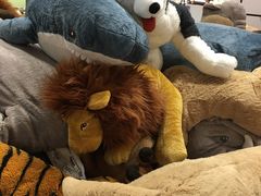 -宜家家居(西安未央商场店)