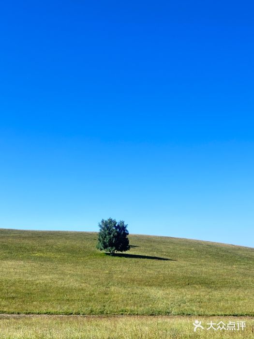 塞罕坝国家级自然保护区图片