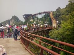 -少华山国家森林公园