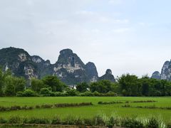 -明仕田园