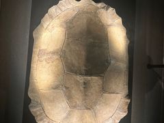 -金沙遗址博物馆