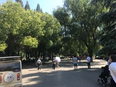 -赭山公园