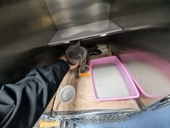 -创凡宠物医院·骨专科  猫科中心(西乡分院)