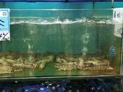 -南海渔家•海鲜•正宗海南菜(海棠湾店)