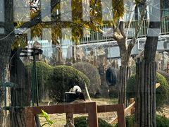 -大连森林动物园