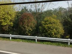 -平望服务区·停车场