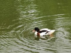 -泉州海丝野生动物世界