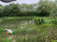 -新江湾城公园