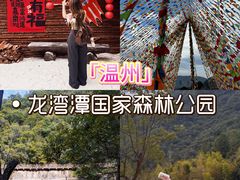-龙湾潭国家森林公园