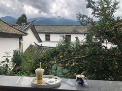 -喵屿·大理花园猫咖