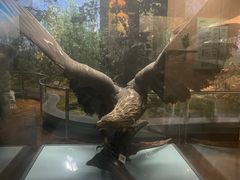 -陕西自然博物馆