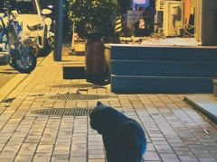 -吹泡·Triphop(棋盘店)