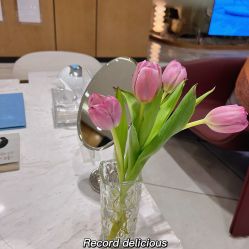 -智美品质医美