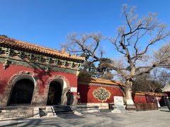 -沈阳市东陵公园