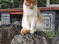 -云龙山