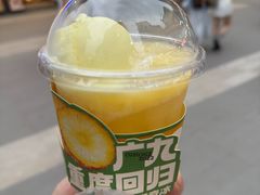 -广九餐室(陈家祠扬韬广场店)