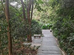 -广州市帽峰山景区