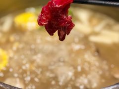 -掂档潮汕牛肉火锅(沈阳万象城店)