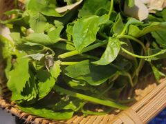 -恋羊时代黑山羊火锅(滨海大道店)