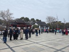 -香雪海