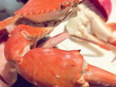 -九万士多港式海鲜粥底火锅(回龙观店)