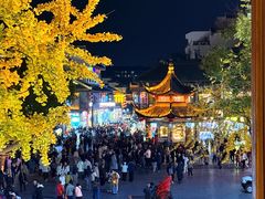 -奇芳阁·百年清真南京菜(夫子庙店)