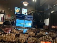 -老五烧烤(石牌岭店)