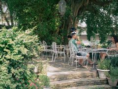 -Fern Forest Cafe