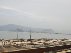 -罗源湾8号渔排