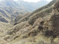 -大岭沟猕猴桃谷风景区