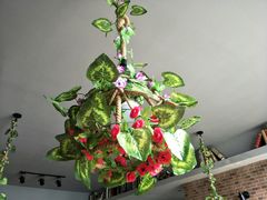 -忘忧草融合私房菜(红鼎国际店)