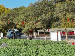 -广州市石门国家森林公园