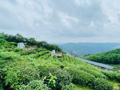 -长沙黑麋峰国家森林公园