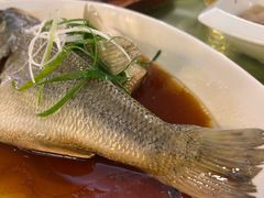 -清真马祥兴菜馆(云南北路店)