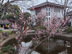 -无锡梅园公园